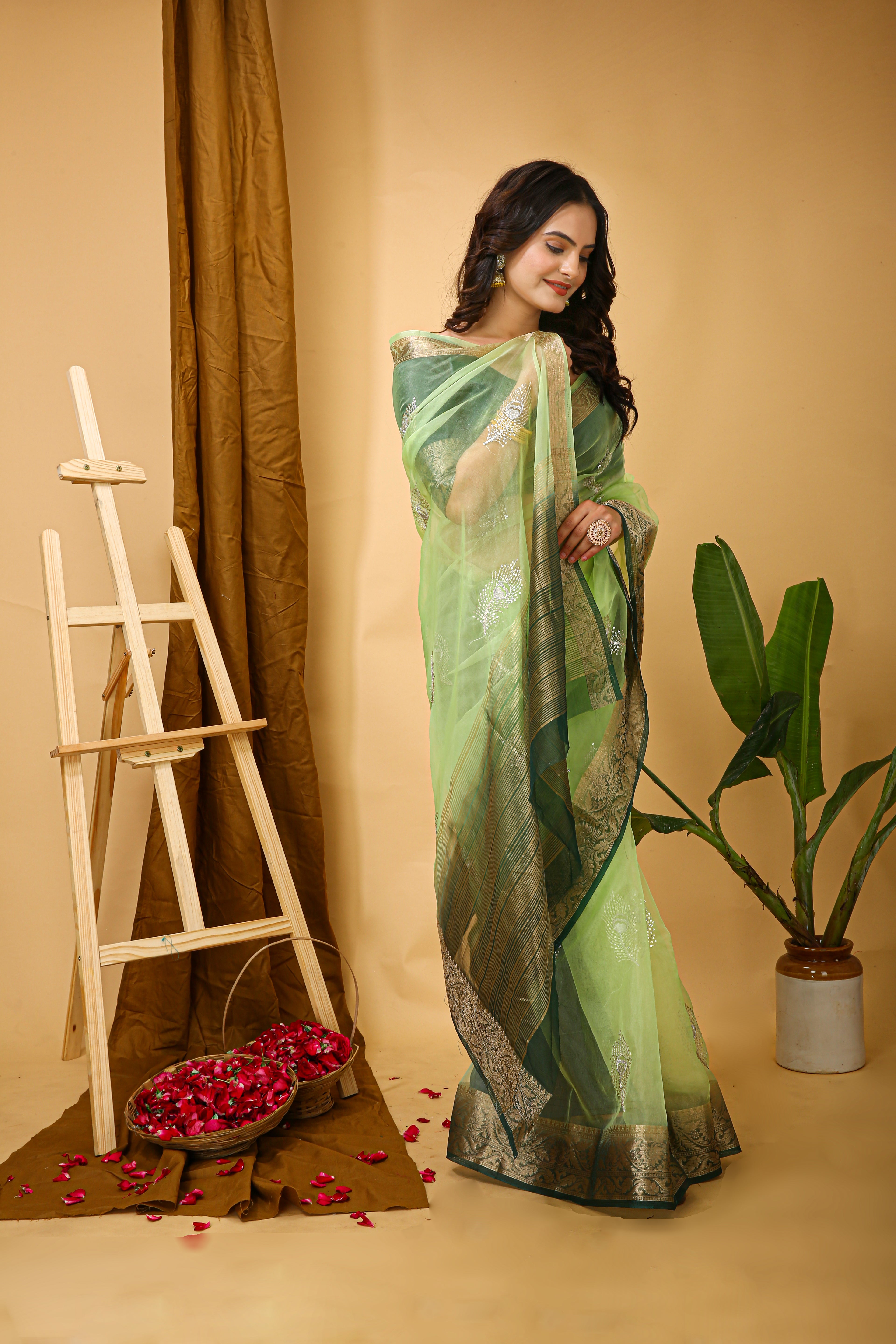 Kanchipuram Organza Jacquard Sequins Saree – Pastel Green Elegance