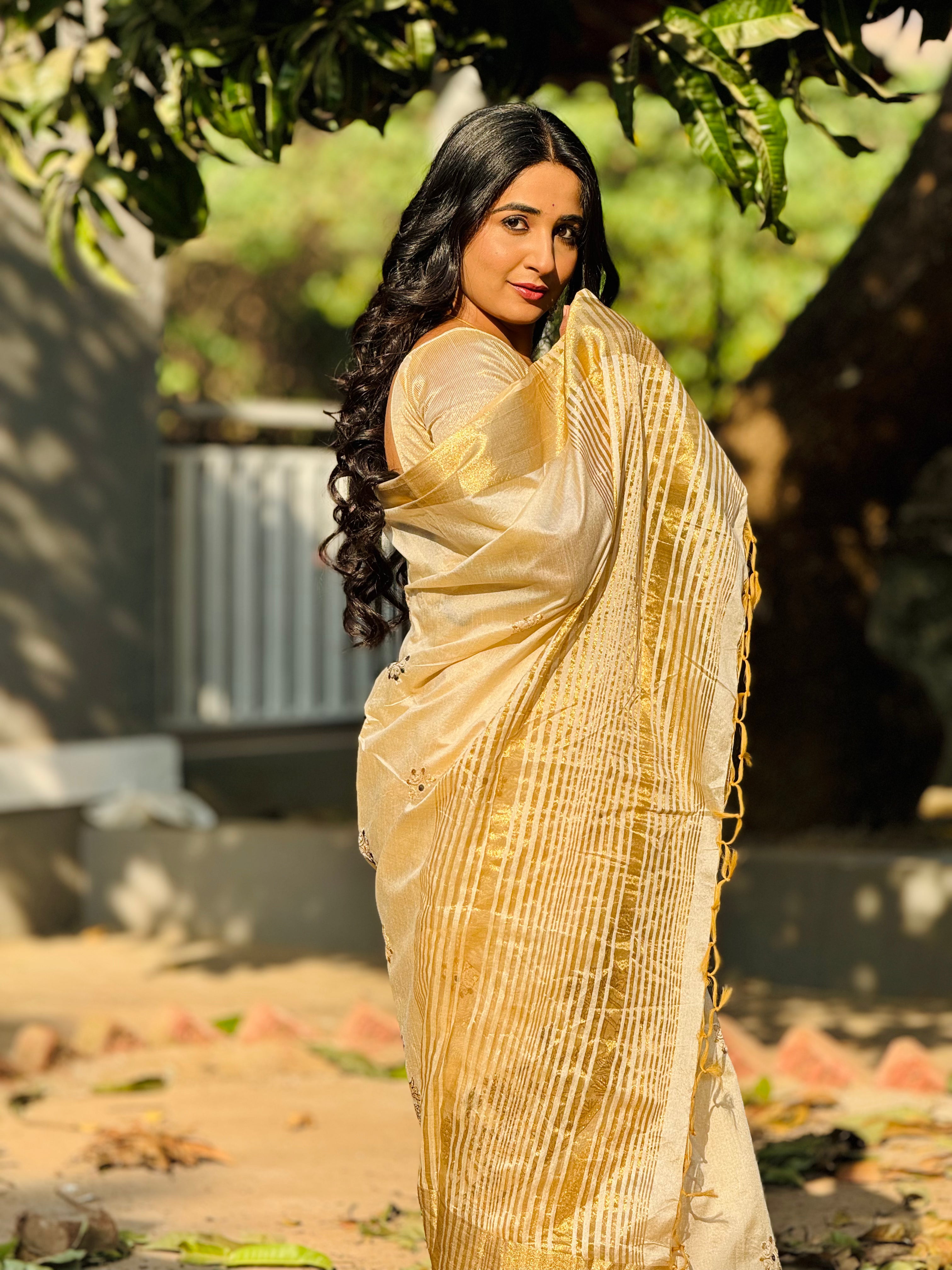 Royal Gleam Banarasi  Saree