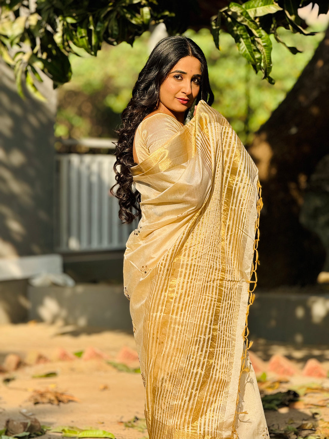 Royal Gleam Banarasi  Saree