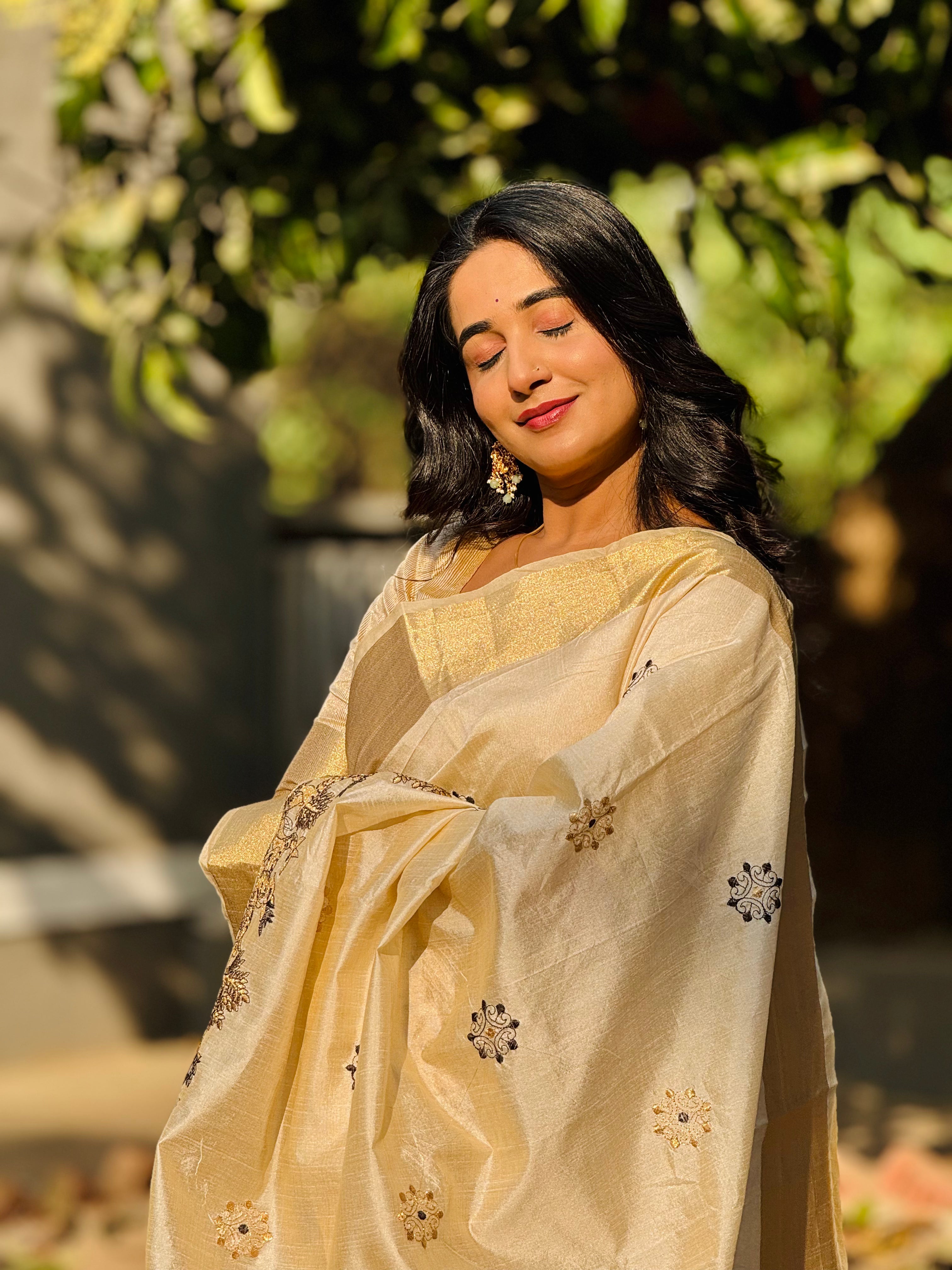 Royal Gleam Banarasi  Saree