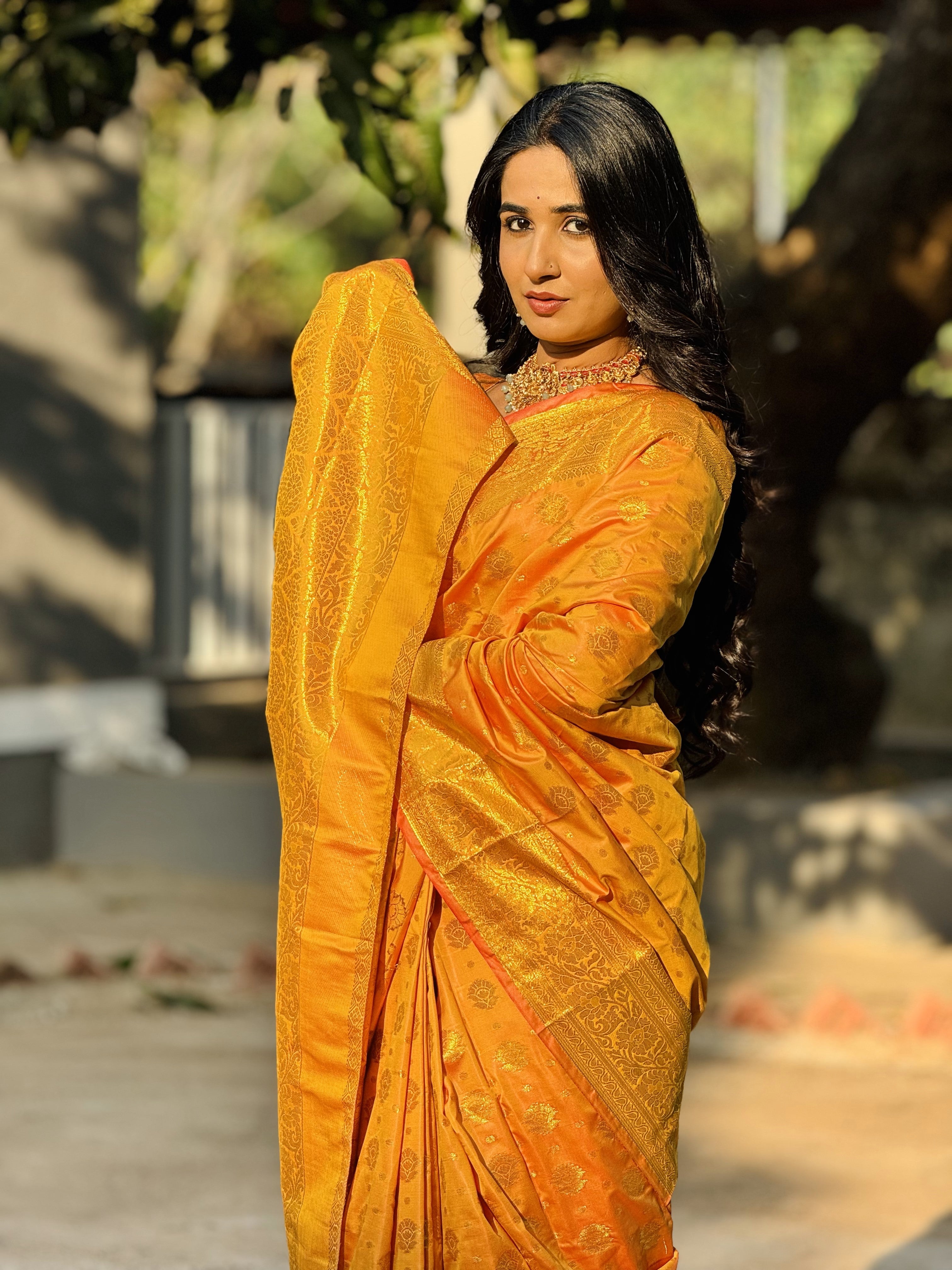 Swarna Kanti Banarasi Saree