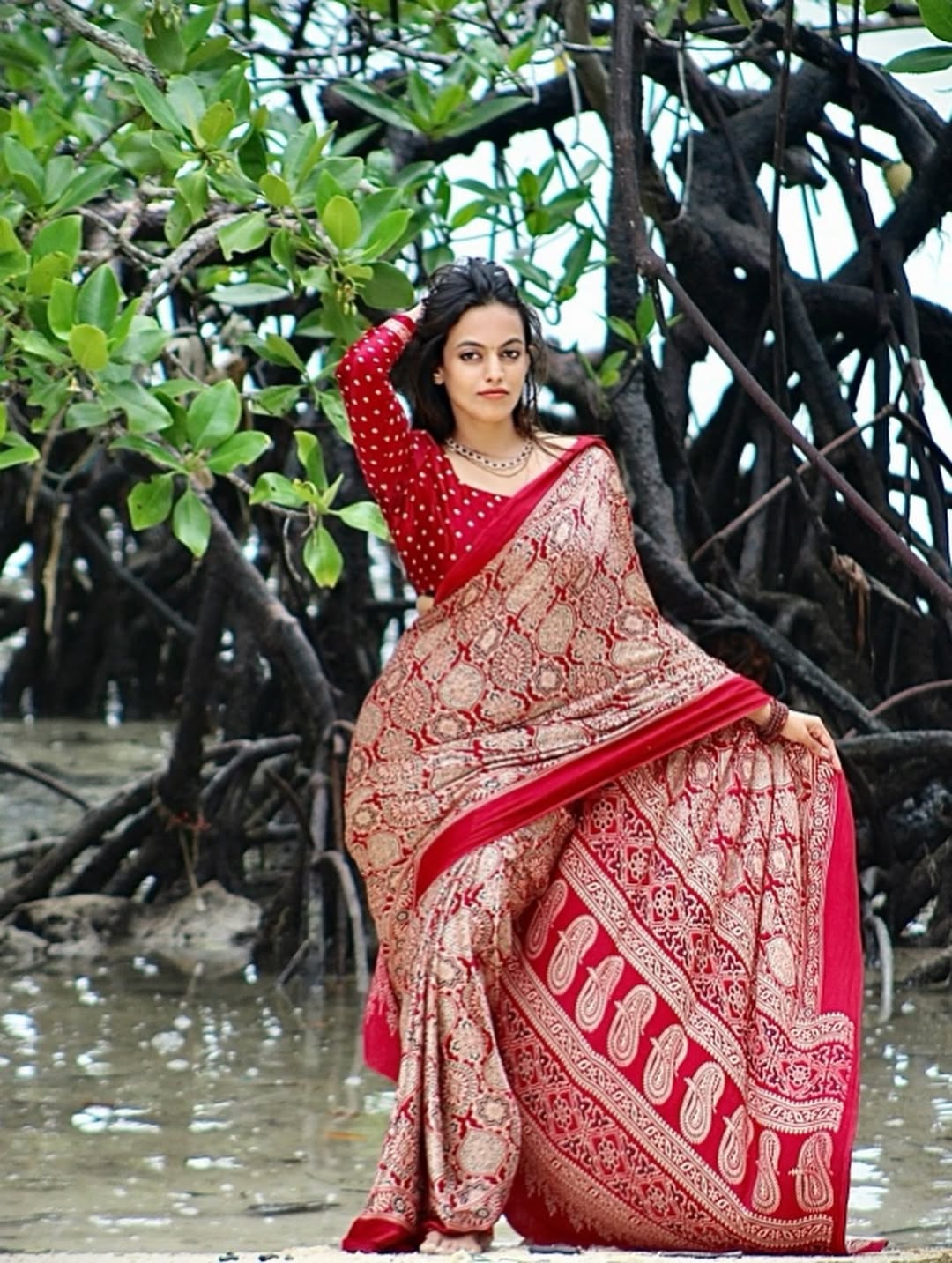 Royal Maroon Ajrakh Digital Print Saree