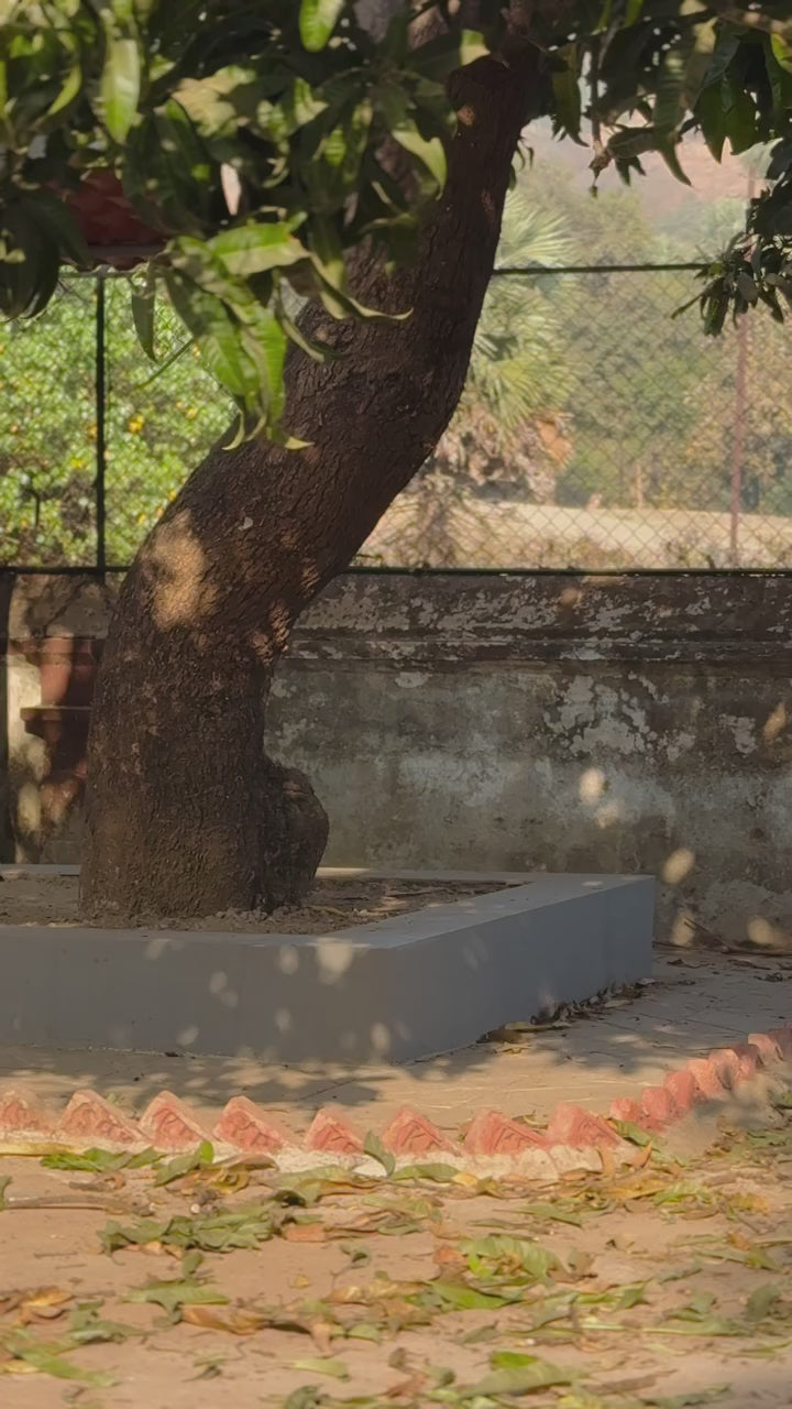 Royal Gleam Banarasi  Saree