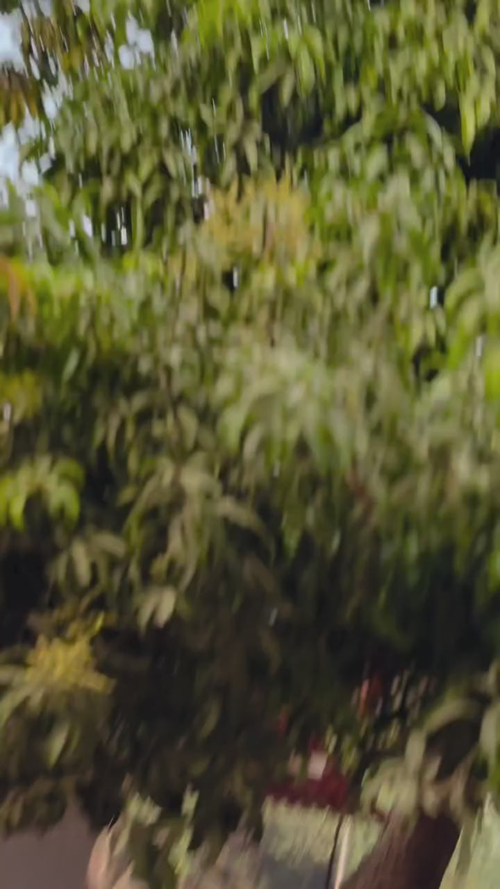 Kashi Ruby Banarasi Silk Saree